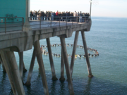 A surfer memorial service, Huntington Beach Pier, Orange County, California.