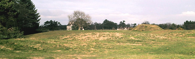 Image:Sutton Hoo gravefield and house.jpg