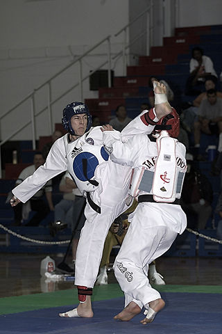 Image:Taekwondo Fight 01.jpg