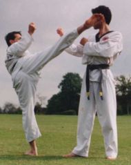 Taekwondo practitioners demonstrating their techniques.