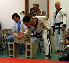 Four concrete paving bricks broken with a knife-hand strike. Breaking techniques are often practiced in taekwondo.