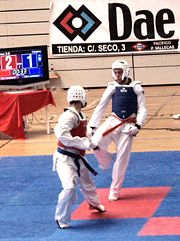 Taekwondo sparring match in Madrid (Spain).