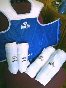 Official WTF trunk protector (hogu), forearm guards and shin guards