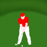 Animation of the full golf swing.