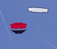 Art kites at a German Kite Festival