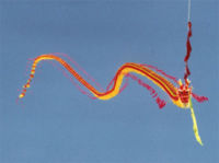 Chinese dragon kite more than one hundred feet long which flew in the annual Berkeley, California, kite festival in 2000. It is a kite-train of hundreds of linked circles (with outriggers ending in feathers for balance). The dragon's head is a bamboo frame with painted silk covering.