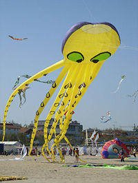 Launch of ram-air inflated Peter Lynn single-line kite, shaped like an octopus and 90 feet long.