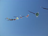 A long kite in the air.