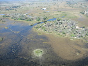 Aerial view over Okavango Delta