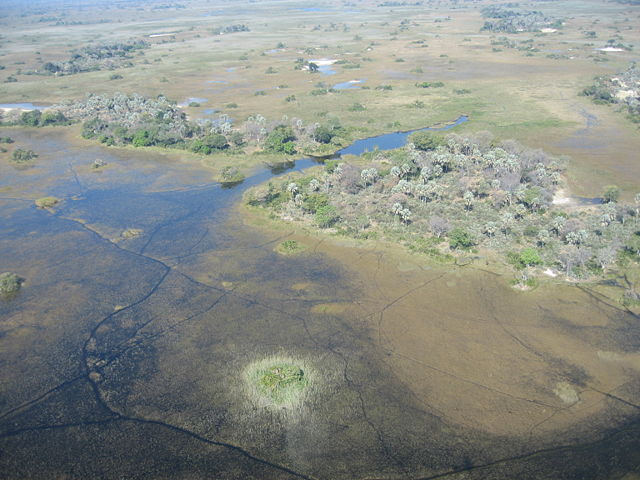Image:Okavango11.jpg