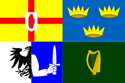 The flag of the four provinces of Ireland is the only flag used when Ireland play outside the Republic of Ireland.