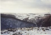 Horner Woods, Exmoor, in winter
