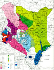 Language map of Kenya. The lake and its environs are in the upper portion.