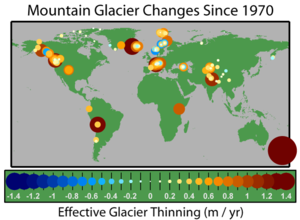A map of the change in thickness of mountain glaciers since 1970.  Thinning in orange and red, thickening in blue.