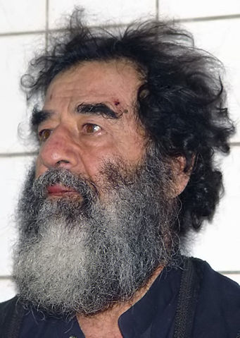 Image:Saddamcapture.jpg