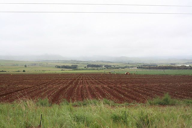 Image:Farm in Mpumalanga.jpg