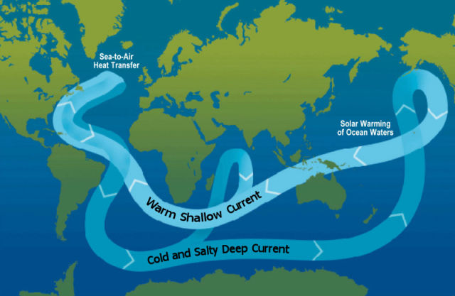Image:Ocean circulation conveyor belt.jpg