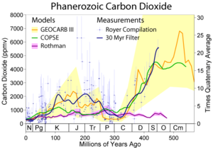 Carbon dioxide variations during the last 500 million years