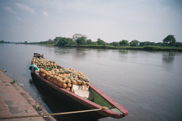 Image:Magdalena river by Luis Perez.png