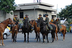 Mounted Colombian National Police unit on patrol, City of Medellín.