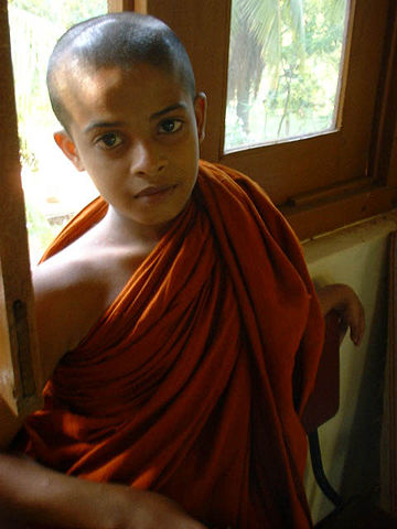 Image:Young Buddhist Monk.jpg