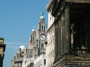 The Royal Liver Building towers over Water Street and the Town Hall