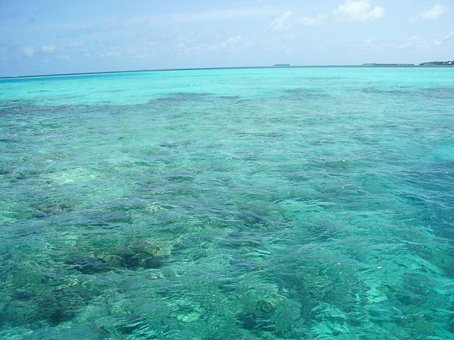 Image:Maldives-reefs.jpg