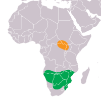 The White Rhinoceros original range (orange: Northern (C. s. cottoni), green: Southern (C. s. simum)).