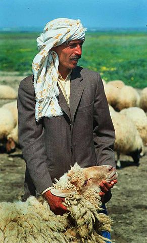Image:Tunisian man with sheep.jpg