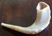 A ram's horn shofar