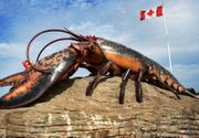 World's largest lobster sculpture in Shediac, New Brunswick.