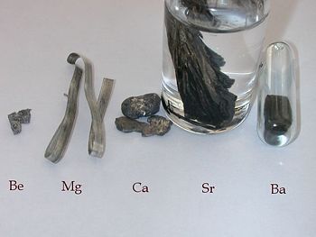 The alkaline earth metals.