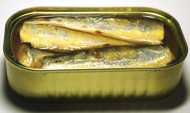 Image:2006 sardines can open.jpg