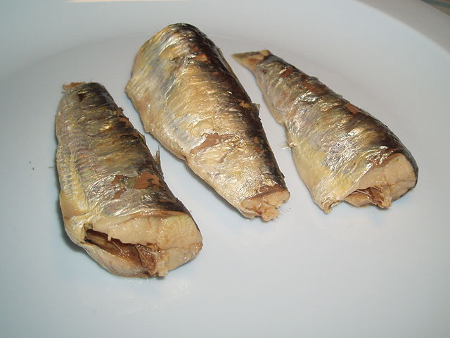 Image:2006 sardines plate flash.jpg