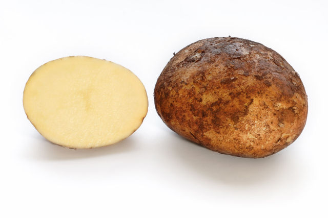 Image:Potato and cross section.jpg