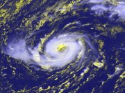 Hurricane Vince formed in cold waters in the northeast Atlantic.