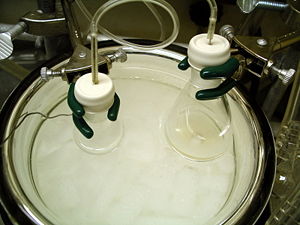 A typical experimental setup for an aldol reaction. A solution of lithium diisopropylamide (LDA) in tetrahydrofuran (THF) (in the flask on the right) is being added to a solution of tert-butyl propionate in the flask on the left, forming its lithium enolate. An aldehyde can then be added to initiate an aldol addition reaction. Both flasks are submerged in a dry ice/acetone cooling bath (-78 °C) the temperature of which is being monitored by a thermocouple (the wire on the left).