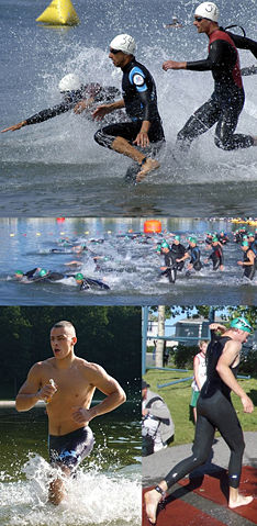 Image:Triathlon swim montage.jpg
