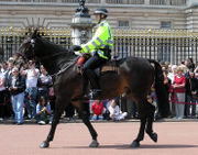 Mounted UK police officer.