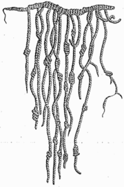 A quipu, a counting device used by the Inca.