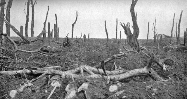 Image:Pozieres view north 28 August 1916.jpg