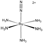 Structure of [Ru(NH3)5(N2)]2+.