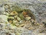 Sulfur crystalites at Waiotapu hot springs, New Zealand