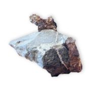 Silver leaf on andesite rock