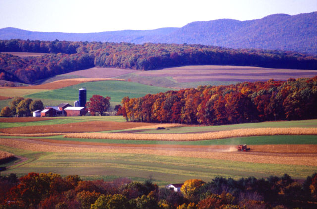 Image:Farming near Klingerstown, Pennsylvania.jpg