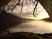 Loch Lomond in Scotland forms a relatively isolated ecosystem. The fish community of this lake has remained unchanged over a very long period.