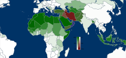 Islam in the world.(Green: Sunni, Red: Shia, Blue:Ibadi