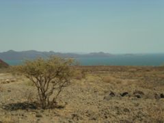 Lake Turkana  Jade Sea -