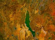 Satellite image of Lake Turkana. Note the jade color. The Omo river enters at the top. The river visible on the lower left is the Turkwel, which has been dammed for hydroelectric power.