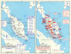 Malaya Command and the Japanese invasion